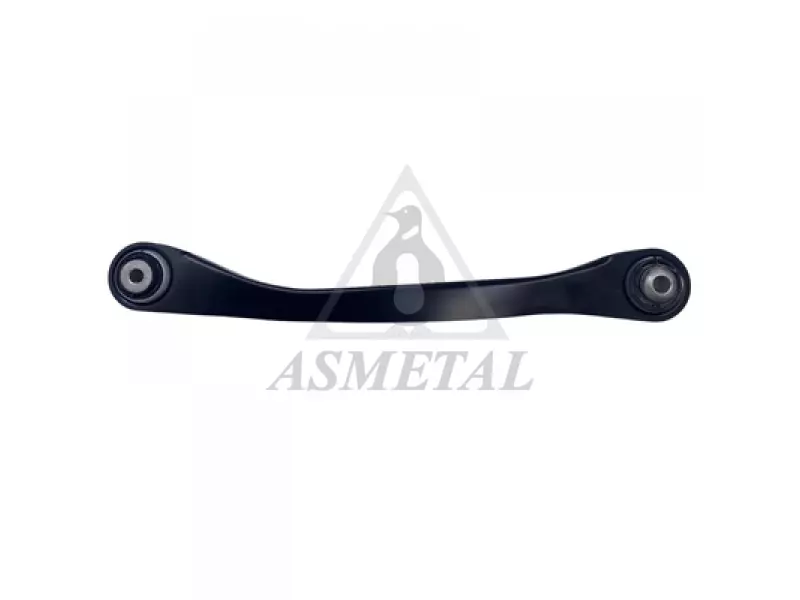 Track Control Arm Rear Left