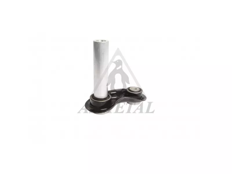 Track Control Arm Rear