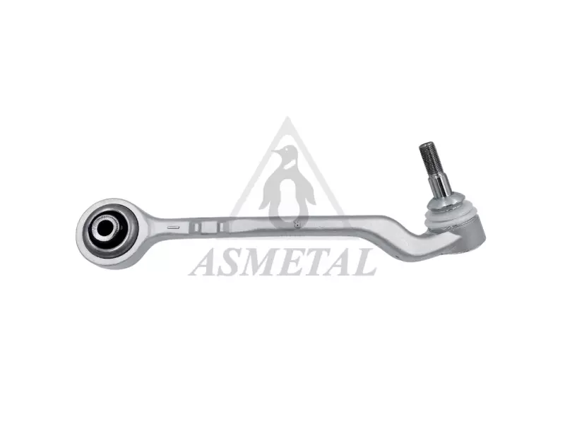 Track Control Arm Lower Right (Without Fasteners)