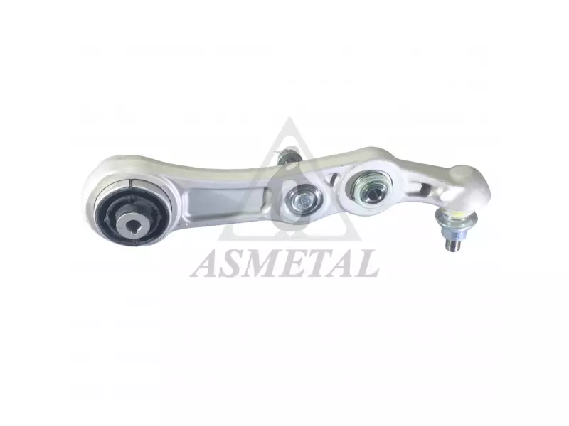 Track Control Arm Lower Right (Without Fasteners)