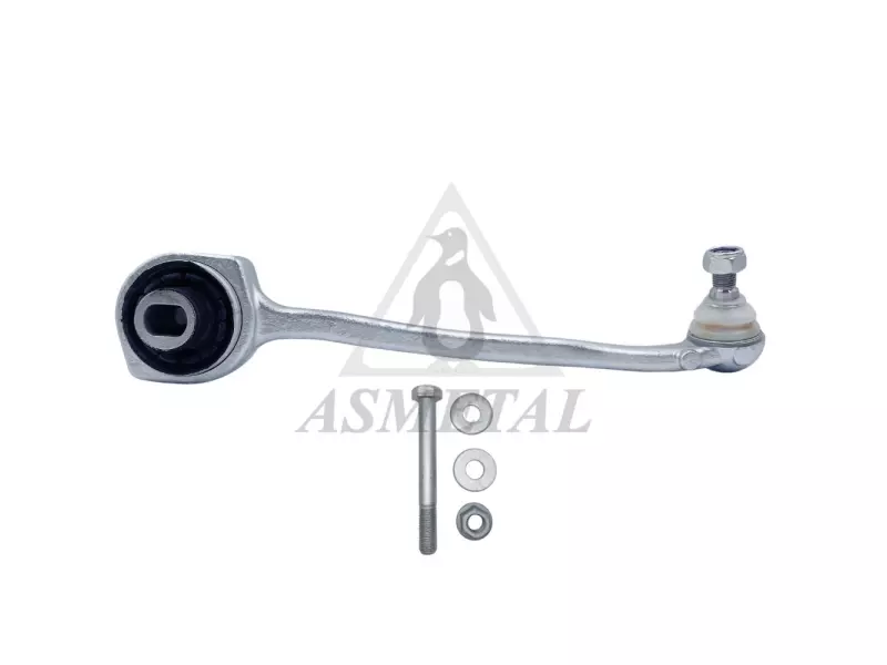 Track Control Arm Lower Right