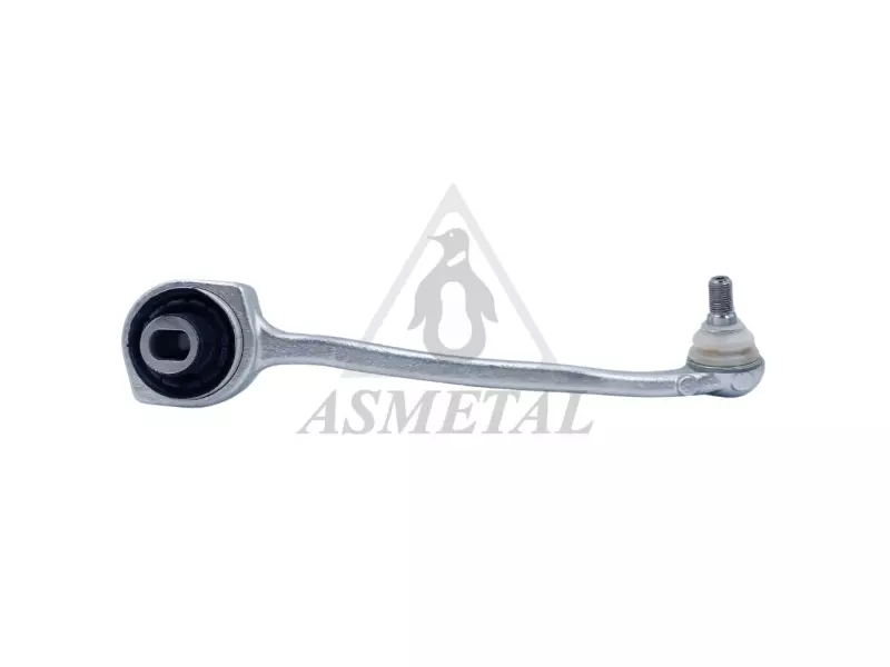 Track Control Arm Right (Without Fasteners)