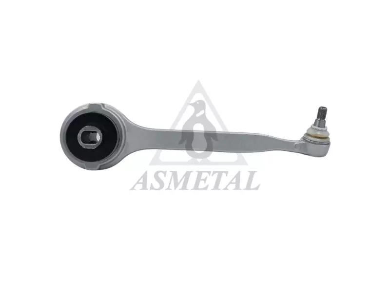 Track Control Arm Right (Without Fasteners)
