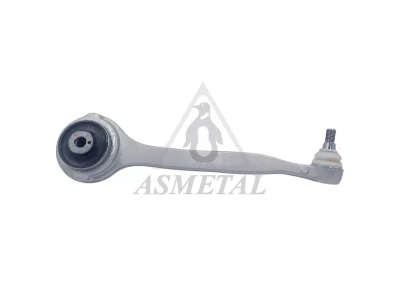 Track Control Arm Right (Without Fasteners)