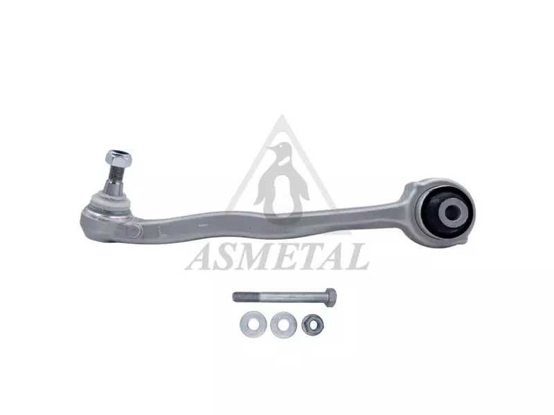 Track Control Arm Lower Left