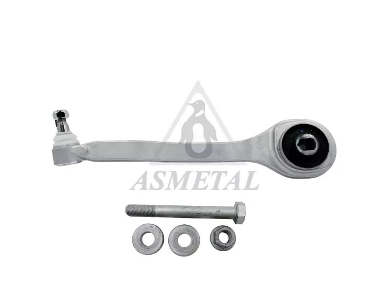 Track Control Arm Lower Left