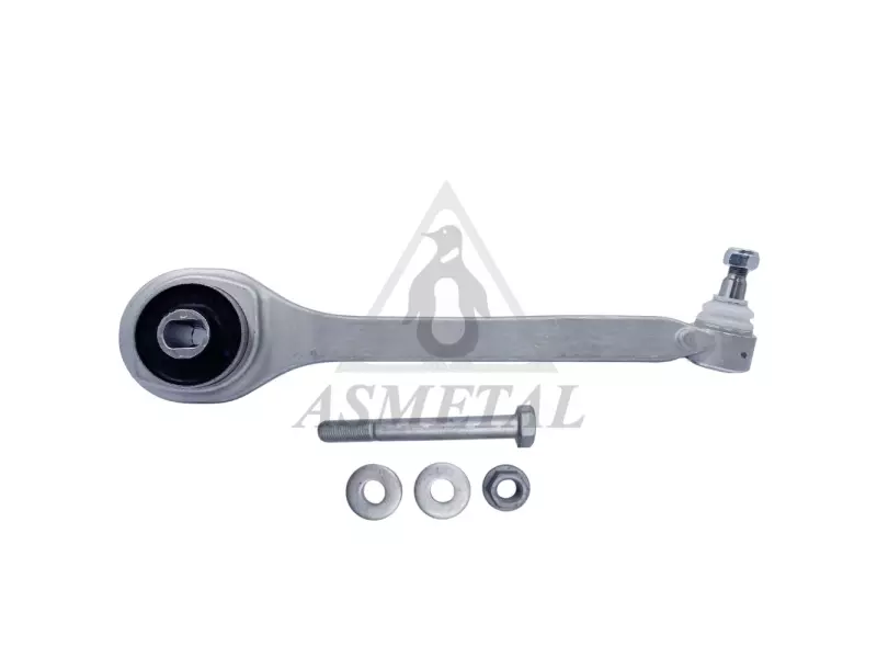 Track Control Arm Lower Right