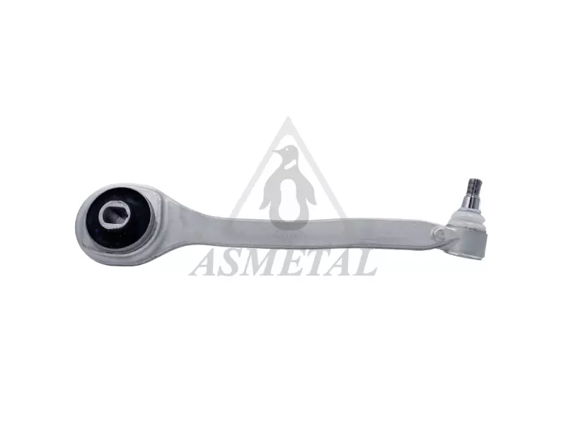 Track Control Arm Lower Right (Without Fasteners)