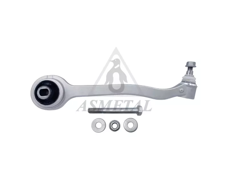 Track Control Arm Lower Right