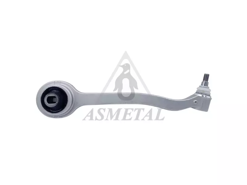 Track Control Arm Lower Right (Without Fasteners)