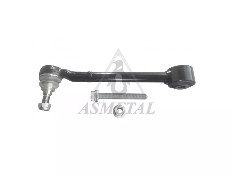 Track Control Arm Lower Rear