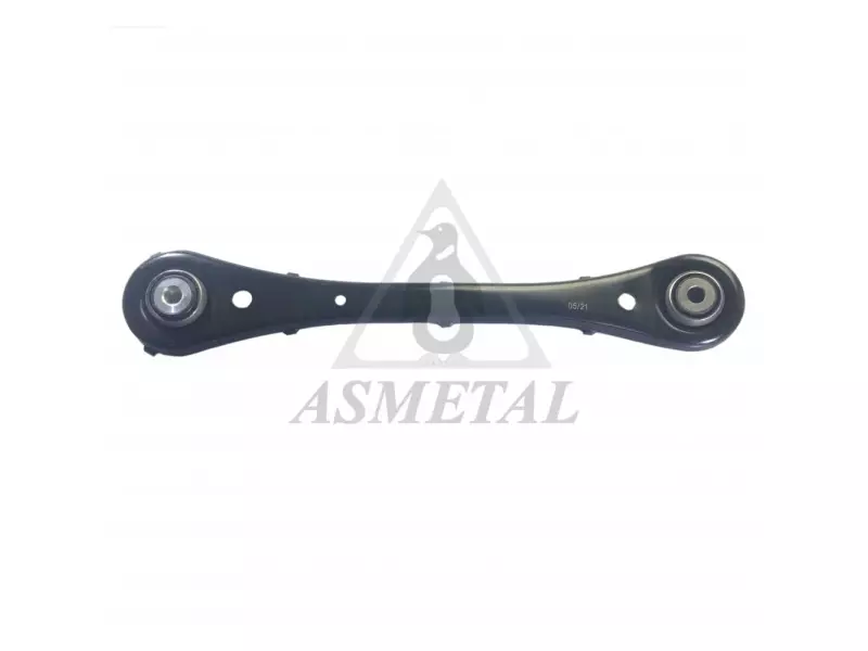 Track Control Arm Rear
