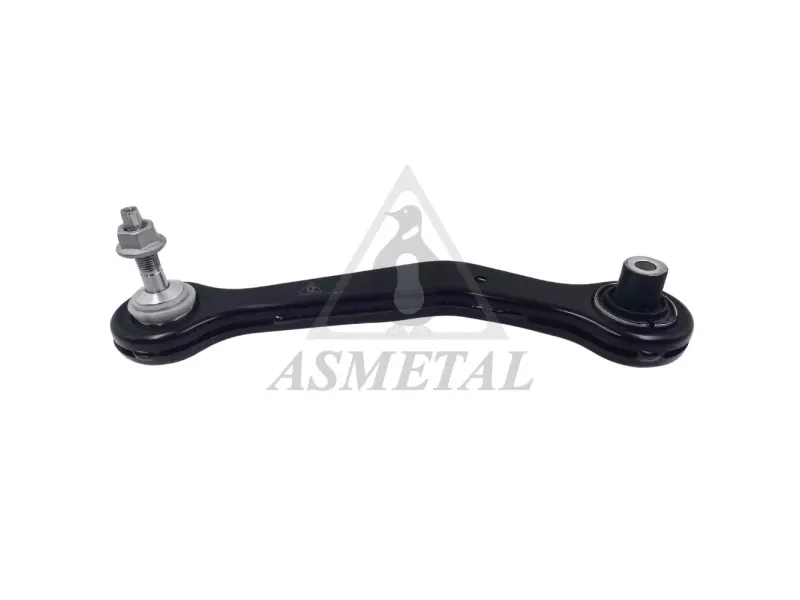 Track Control Arm Rear Left