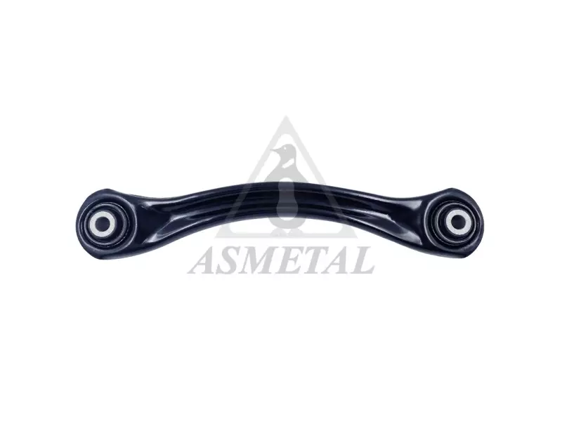 Track Control Arm Rear