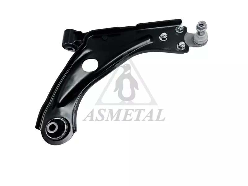 Track Control Arm Lower Right