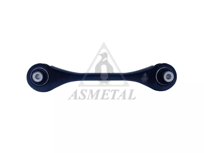 Track Rod Rear