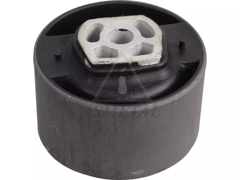 Engine Mounting