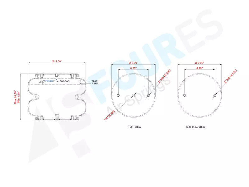 Convoluted Air Spring