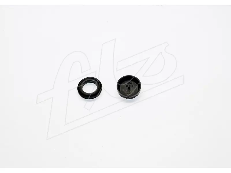 Master Cylinder