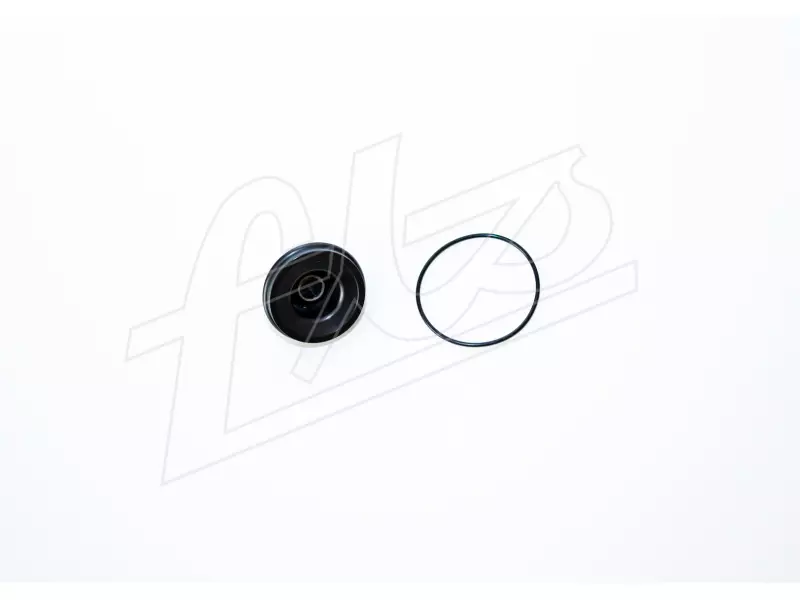 Master Cylinder