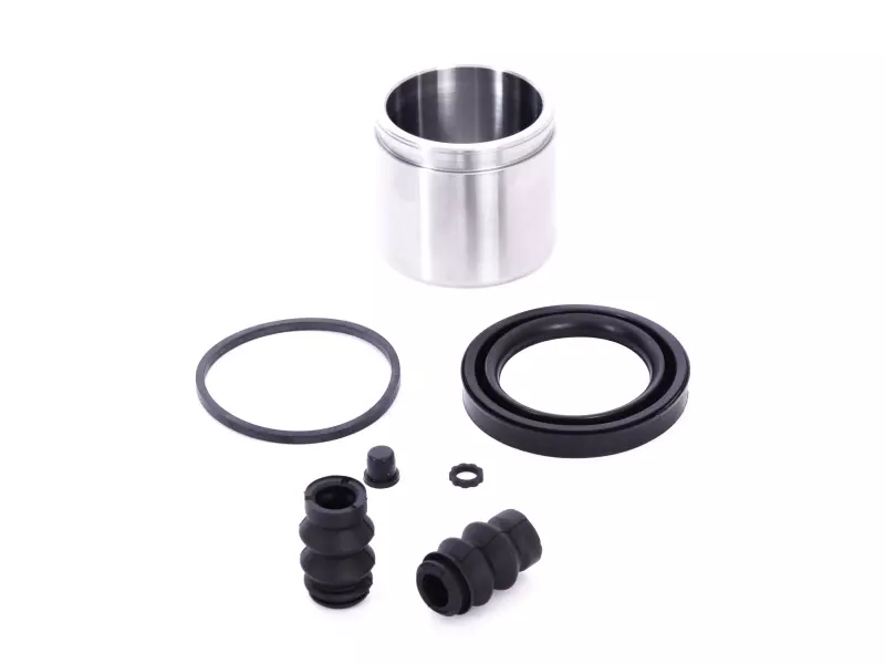 Rear Caliper