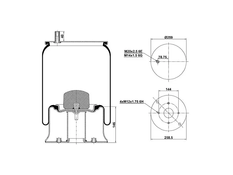 Air Spring Metal Piston