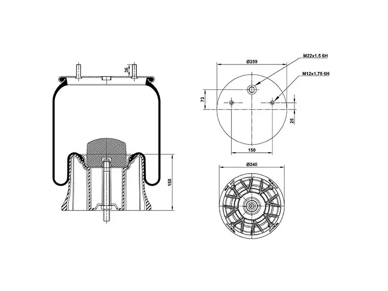 Air Spring Plastic Piston