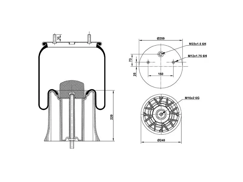 Air Spring Plastic Piston