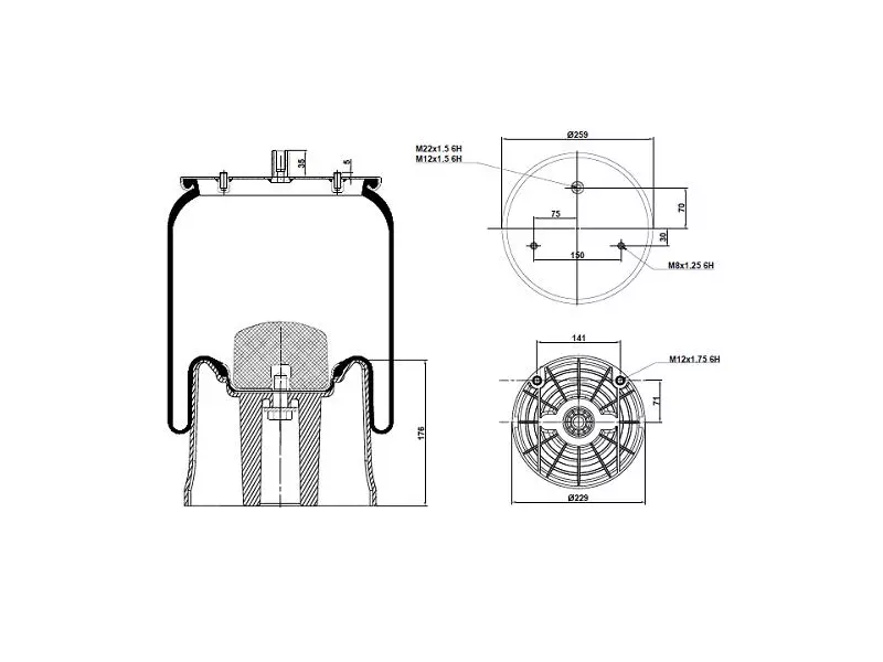Air Spring Plastic Piston