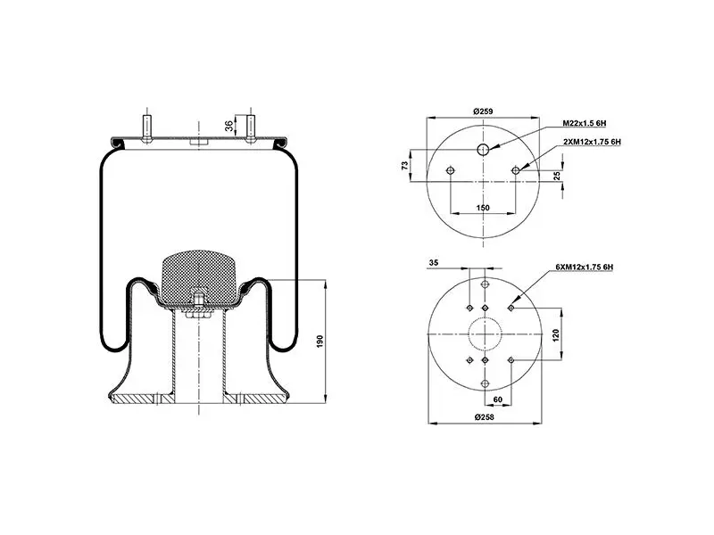 Air Spring Metal Piston