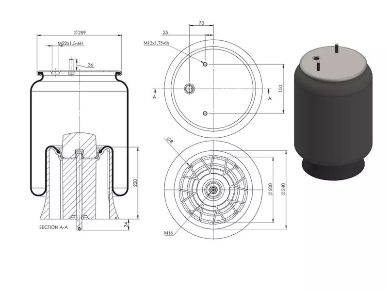 Air Spring Plastic Piston