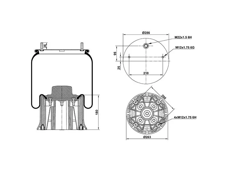 Air Spring Plastic Piston