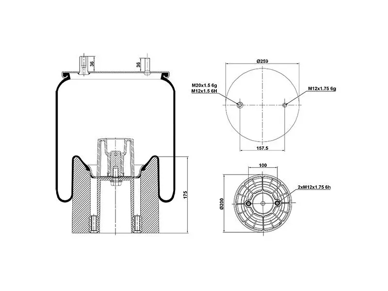 Air Spring Plastic Piston