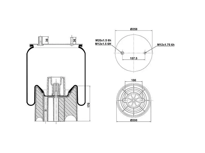 Air Spring Plastic Piston