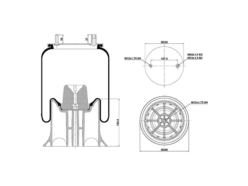 Air Spring Plastic Piston