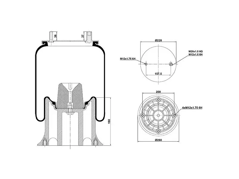 Air Spring Plastic Piston