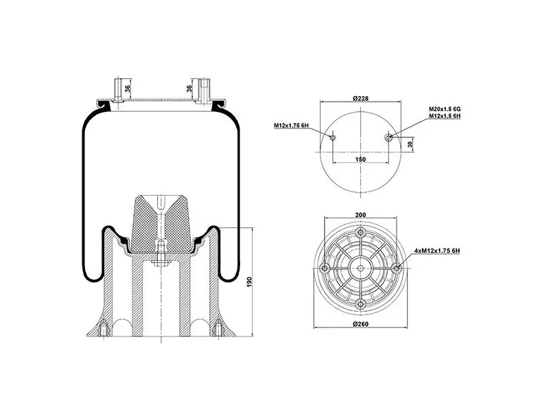 Air Spring Plastic Piston