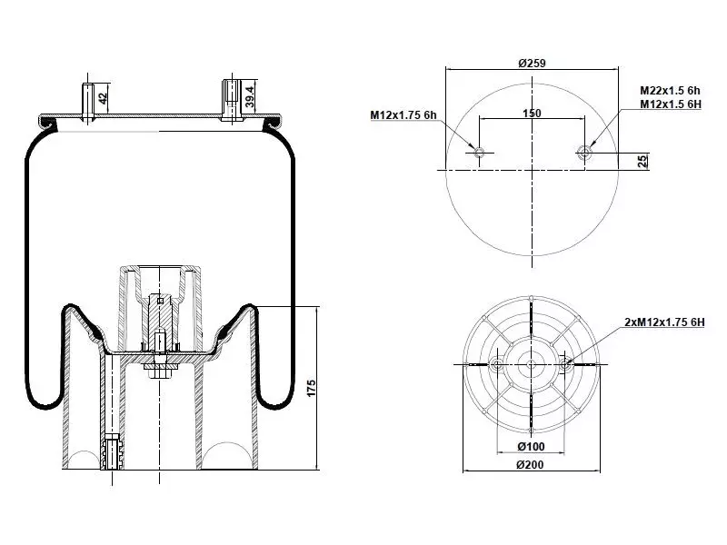 Air Spring Plastic Piston