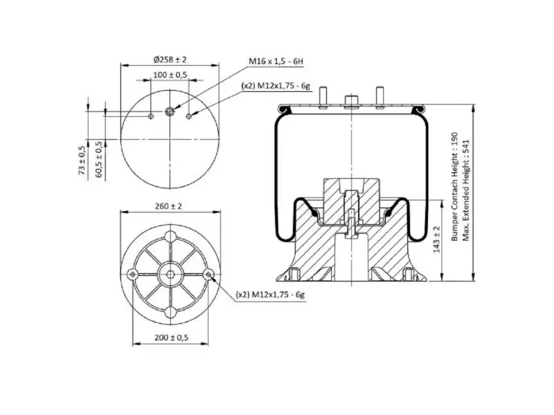 Air Spring Plastic Piston