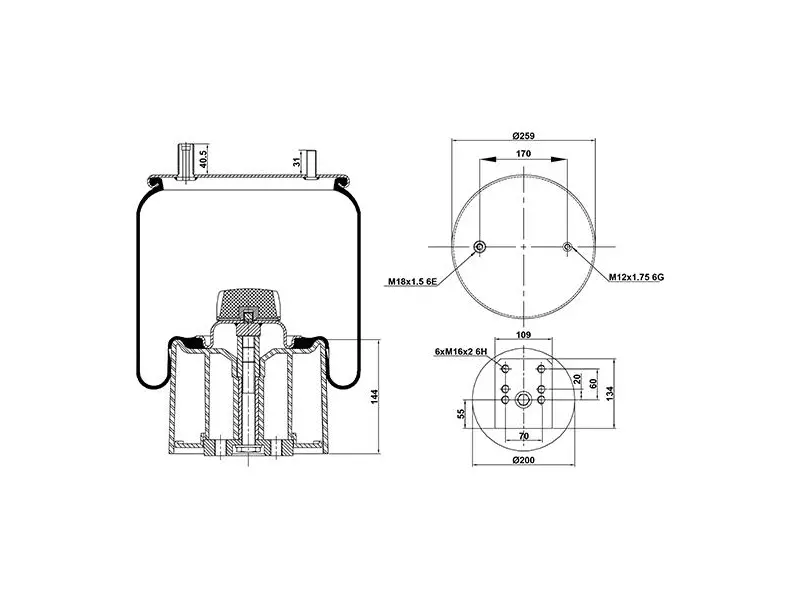 Air Spring Plastic Piston