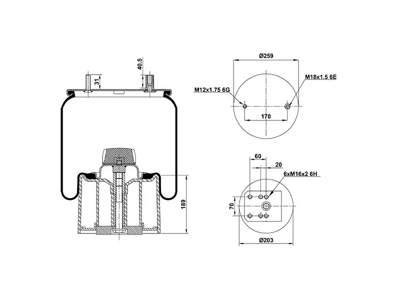 Air Spring Plastic Piston