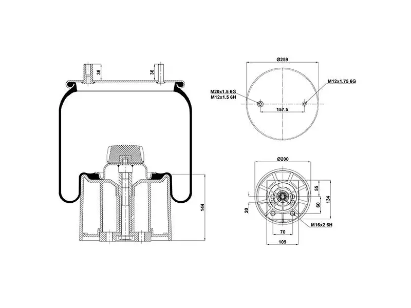 Air Spring Plastic Piston