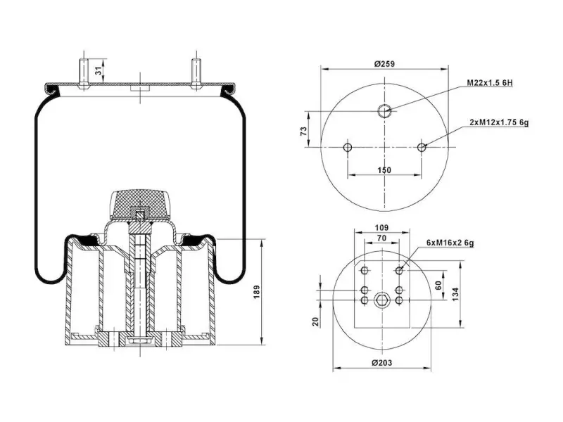 Air Spring Plastic Piston