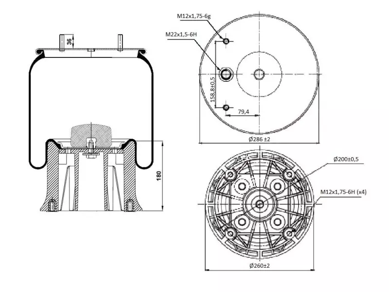 Air Spring Plastic Piston