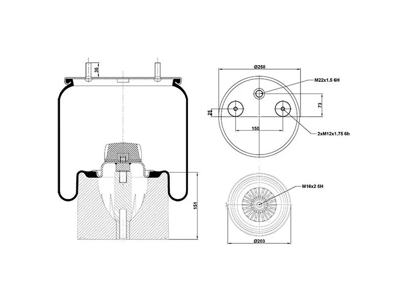 Air Spring Plastic Piston
