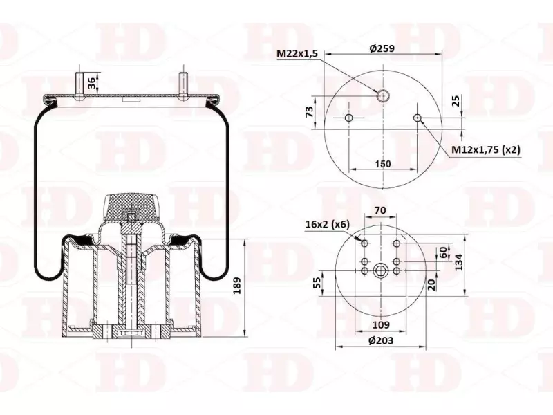 Air Spring Plastic Piston