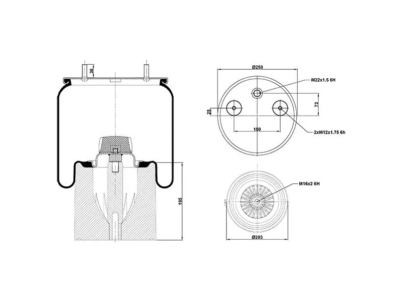 Air Spring Plastic Piston