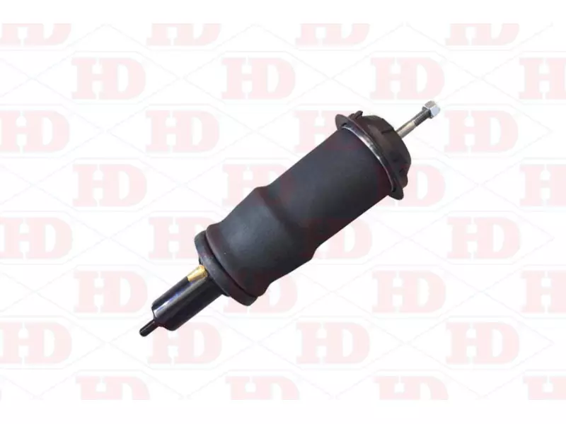 Air Bellow, With Shock Absorber, Cab