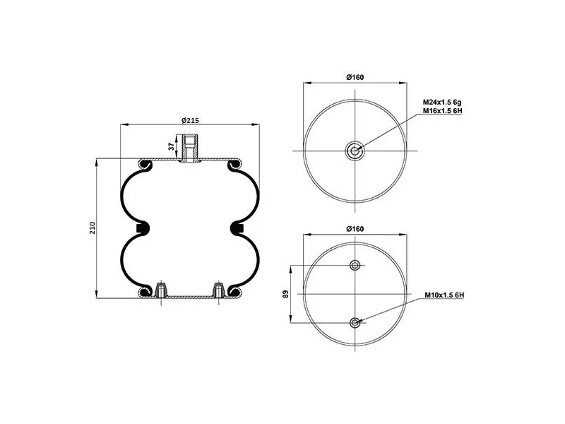 Convoluted Air Spring