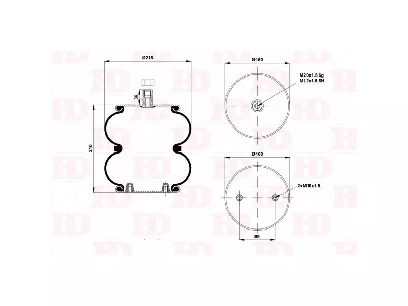 Convoluted Air Spring